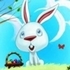 Find Differences Bunny